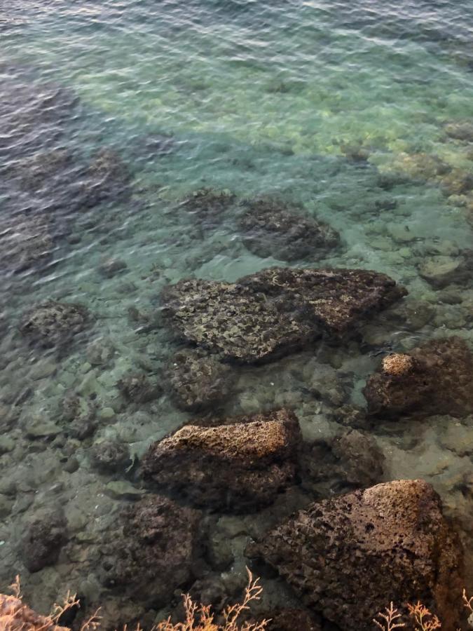 Casa Vacanze Antiche Mura E Poi Monopoli Dış mekan fotoğraf